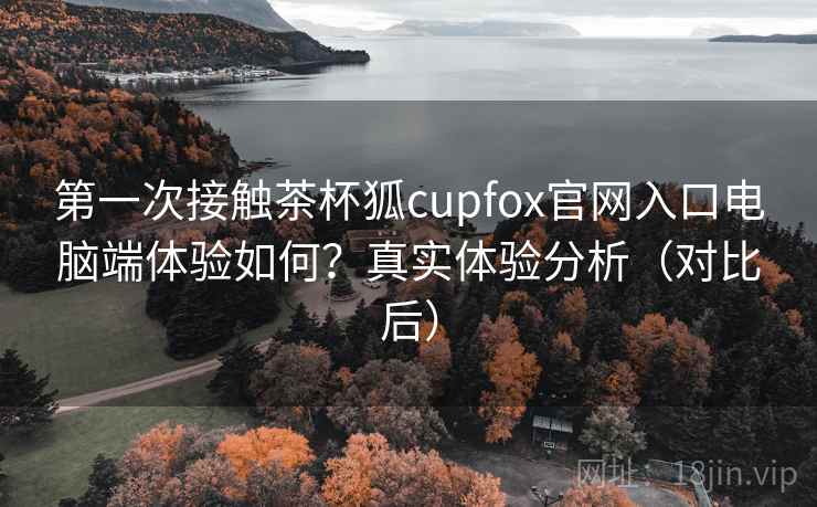 第一次接触茶杯狐cupfox官网入口电脑端体验如何？真实体验分析（对比后）
