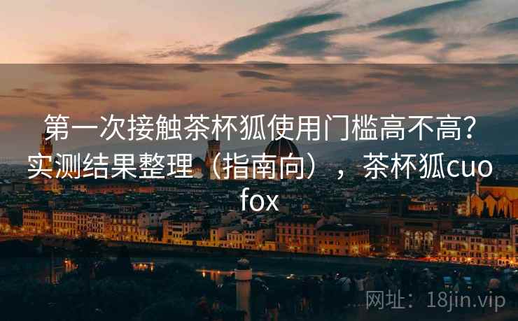 第一次接触茶杯狐使用门槛高不高？实测结果整理（指南向），茶杯狐cuofox