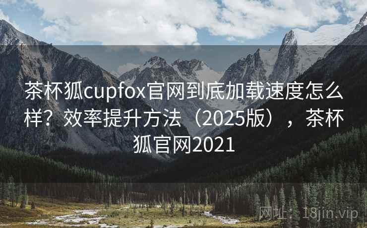 茶杯狐cupfox官网到底加载速度怎么样？效率提升方法（2025版），茶杯狐官网2021