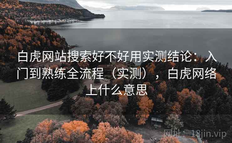 白虎网站搜索好不好用实测结论：入门到熟练全流程（实测），白虎网络上什么意思